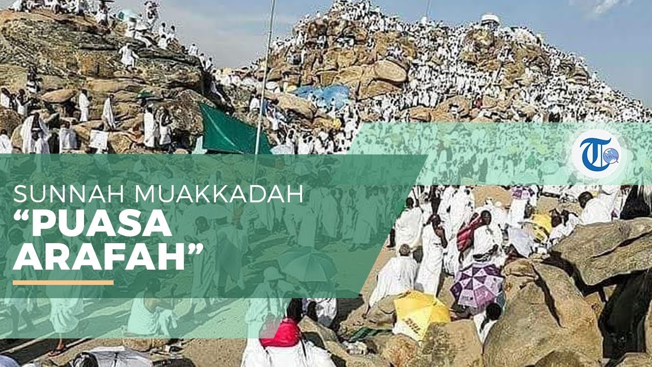 Puasa Arafah - Puasa Penghapus Dosa Selama 2 Tahun 