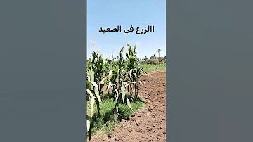 ٧ يوليو ٢٠٢٥ 