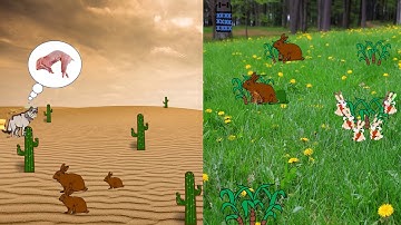 Survival of the Fittest Animation