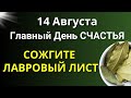 14 Августа Важный День. Сожгите в Доме Лавровый Лист. Самое важное на сегодня от Вселенной