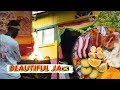 🇯🇲 Fruit Feast and Rasta Meditation in the Mountain | Vlog Jamaica 2019