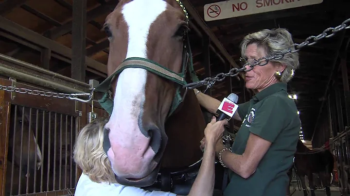 Susan Kayne with Janet Perkins of Rockbottom Farm ...