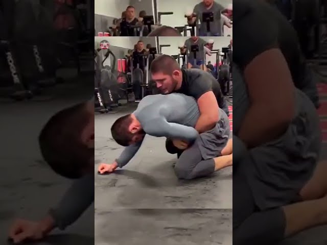 Khabib Nurmagomedov and Islam Makhachev Wrestling class=