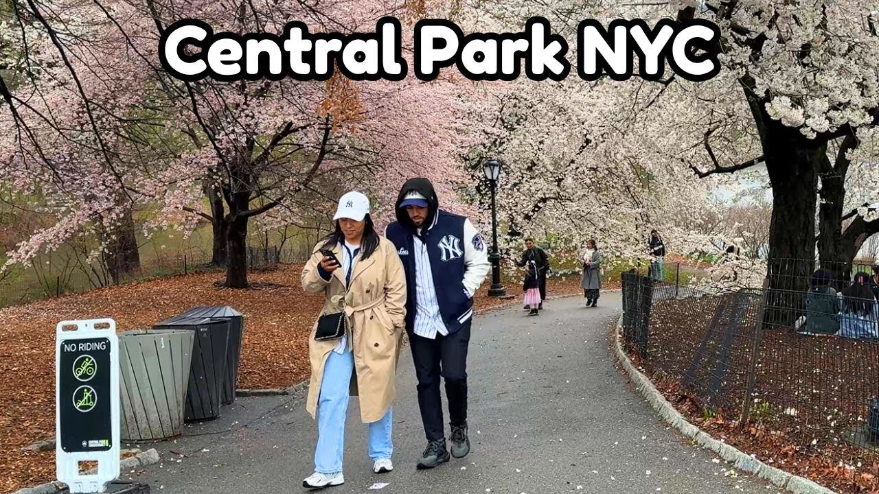 Spring Stroll NYC's Central Park: A Scenic Spring Stroll 🌺🗽New York #flowers #travel ...