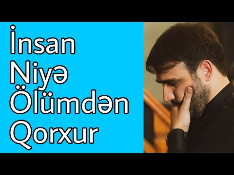 Video: İnsan Niyə Qorxur?