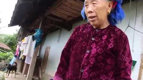 CHÓ BẢN ĐỊA VIỆT NAM - TẦM CẨU KÝ SỰ: Đi bản săn lùng chó H