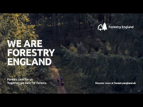We are Forestry