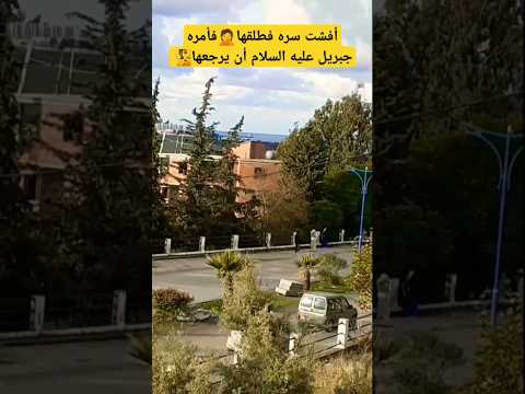 قصة الرسولﷺ مع مارية قصص الانبياء صلوا على النبي  لايك