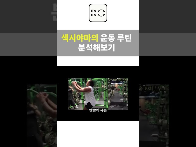 섹시야마의 등운동 분석하기
