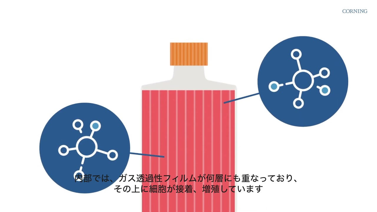 国内外の人気！  店CORNING 20012 コーニング ハイパースタック 4入 12段 培養面積=6,000cm2 