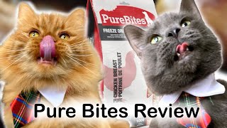 Cats Review Pure Bites Chicken Treats! by Spooky and Sweet Potato 154 views 1 month ago 3 minutes, 37 seconds