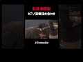 【惚れる】ピアノを弾く聡っちゃん🎹 ̖́- #official髭男dism #shorts