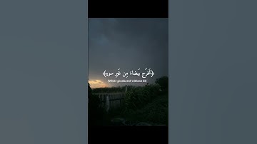 #قرآن #تلاوات #quran #fyp #viral #راحة_نفسية #تيك_توك #لايك #good#اكسبلور