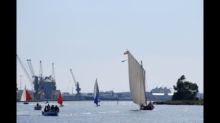 Grande Regata dos Moliceiros da Ria de Aveiro 2019 – VÍDEOFOTO (1)