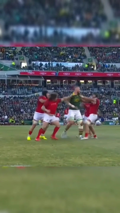 RG Snyman vs Portugal! In a fight! Why did it take 4 men to bring down 1 man?
