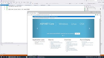 微软的框架ASP.NET Core - 10分钟讲完MVC基础
