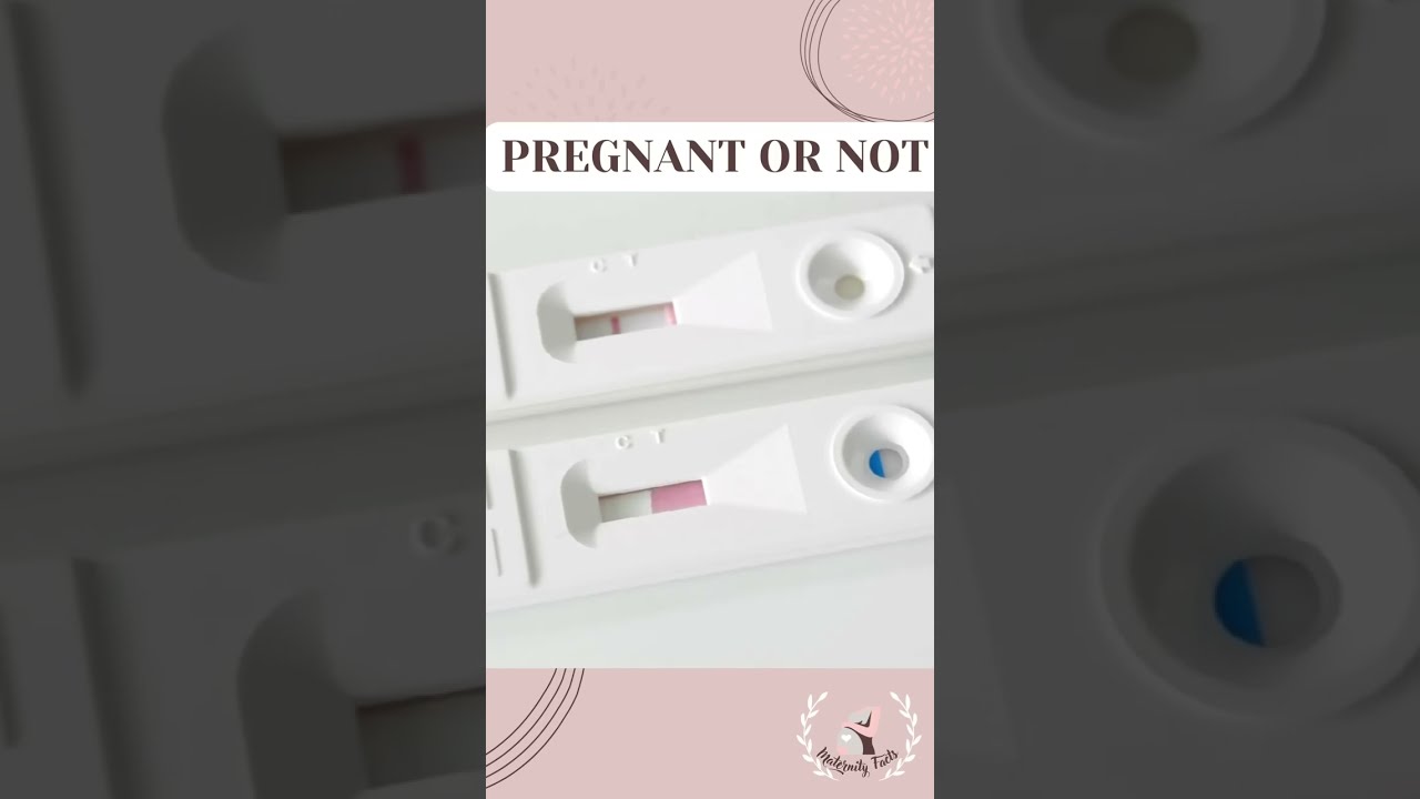 PREGNANCY TEST LIVE KIT RESULTS Pregnancy Negative Vs Positive Shorts