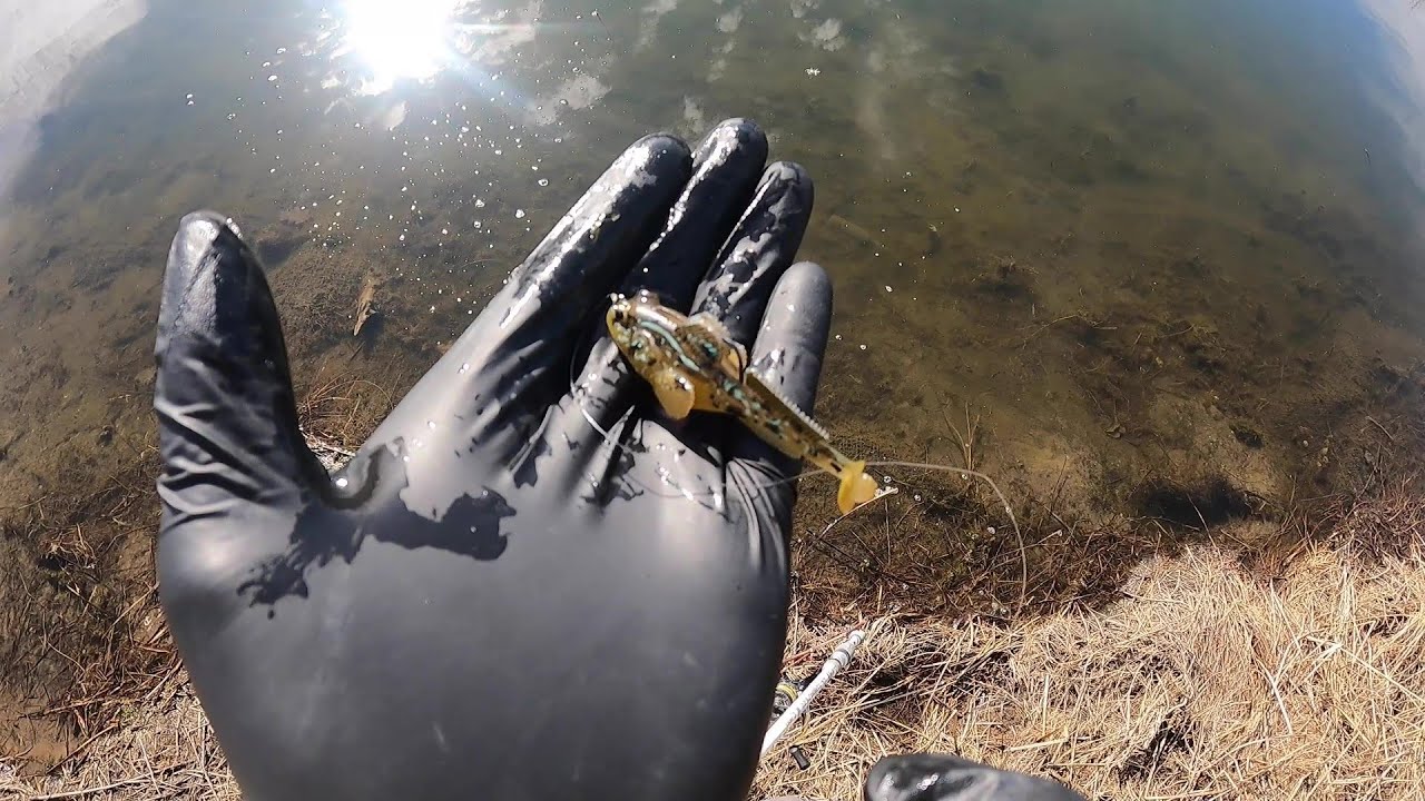 ZMAN GOBIUS Bass Fishing Late Winter and Early Spring !