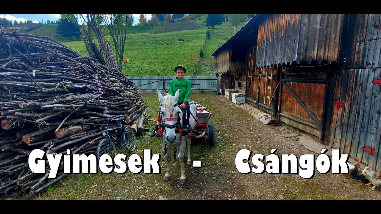 A Gyimesekben lovaskocsiztunk egy Csángó kisfiúval, Leventével Görbepatakán a Csíki-havasok mélyére!