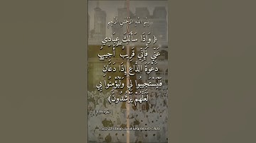 ﴿ وإذا سألك عبادي عني فإني قريب ﴾ [البقرة: 186] | آيات تلامس القلب