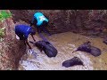 Wildlife team rescues baby elephant from dying in a well