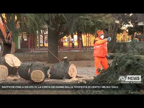 RAFFICHE FINO A 120 KM/H, LA CONTA DEI DANNI DELLA TEMPESTA DI VENTO | 08/02/2022