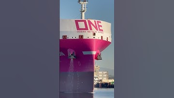 Ocean Network Express