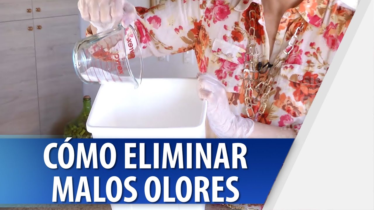 Cómo Eliminar Malos Olores de la Basura - YouTube