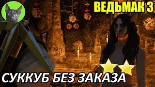 Ведьмак 3 - Интересности - В гостях у суккуба