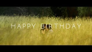 Kygo - Happy Birthday (ft. John Legend)(Sub Español)