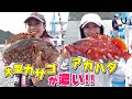 GO!GO!九ちゃんフィッシング #479　「ひとつテンヤで大物根魚！（前篇） 続々釣れる西伊豆高級魚？」