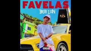 Basta Lion (Full Album Favelas 2021) NB PRODUCTION 2k21