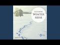 Miniature de la vidéo de la chanson Die Winterreise, Op. 89, D. 911: Die Nebensonnen