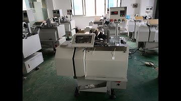 FULL AUTOMATIC HANGTAG STRINGER LM-LY3