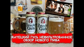 Пиво Жатецкий Гусь нефильтрованное - пробуем новинку!