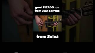 AWESOME picado run from Juan Serrano guitar learn