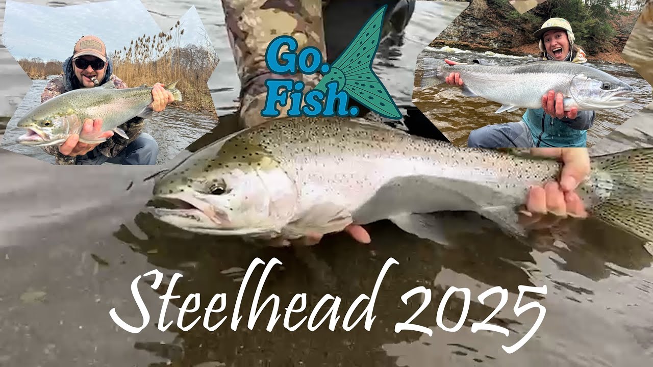 2025 Steelhead Fly Fishing in NY adventure: Landing a Massive 30-Inch Trout