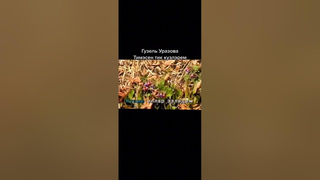 Тимэсен тик кузлэрем. Гузель Уразова. Матур жыр. Official - YouTube