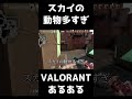 【VALORANTあるある】スカイの動物多すぎ