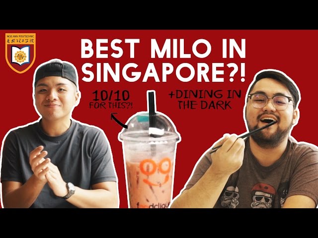 SEARCH FOR THE BEST POLY FOOD: NGEE ANN POLYTECHNIC | TSL Vlogs