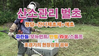 벌초하는 시기, 벌초하는 방법, 잔디관리 특급 노하우, 제초제 파란들, 모뉴먼트, 반벨, 라쏘, 스톰프