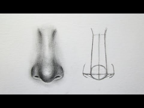 Cara Menggambar Hidung Untuk Pemula - How to Draw a Nose