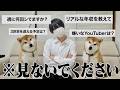 【暴露】登録者160万人のYouTuberの年収、嫌いなクリエイター、新しい犬を迎える予定は?全て正直に話します。。
