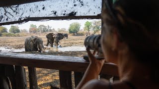 Kanga s Photographic Hide Mana Pools Zimbabwe