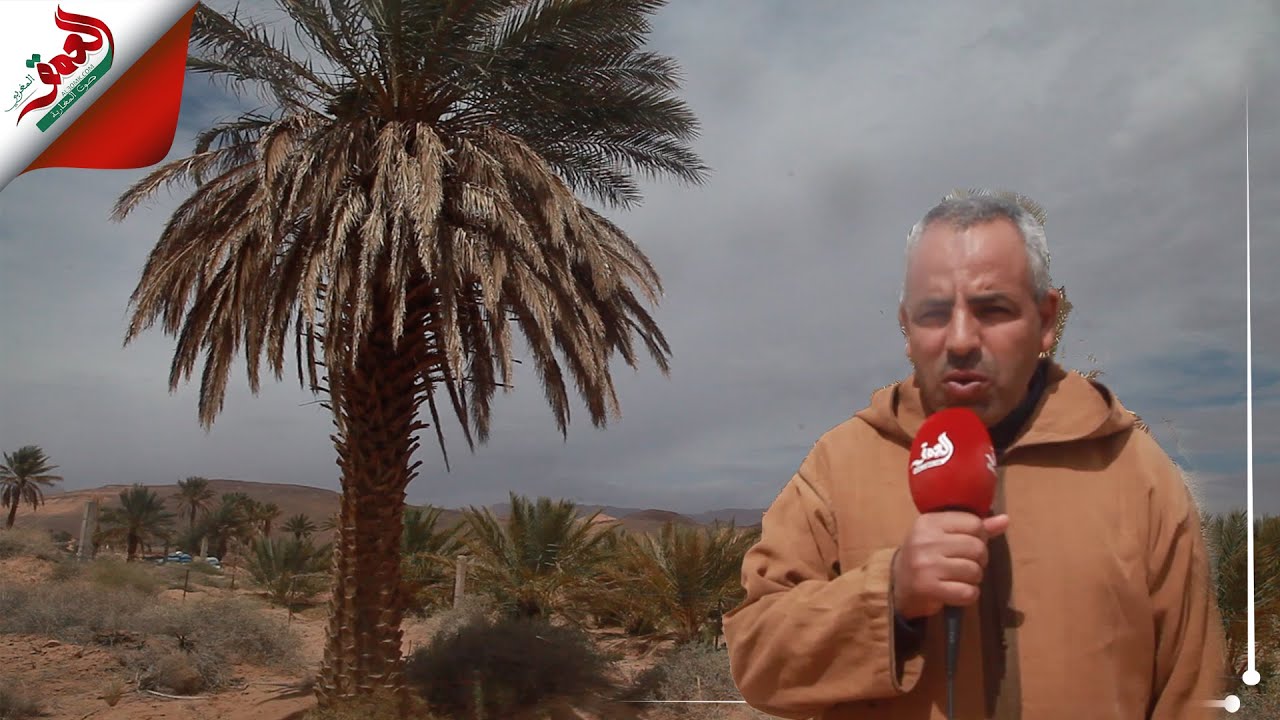 على بعد خطوات من العرجة.. 