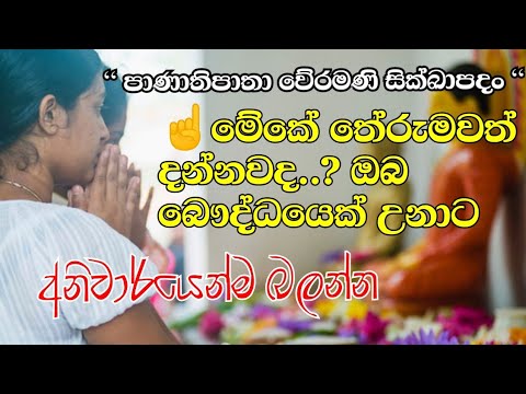 පාණාතිපාතා සිල් පදයේ තේරුම දන්නවද..? | Pansil pada | sil samadan wima | panathi patha veramani