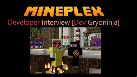 Mineplex DEVELOPER Interview [Dev gyroninja]
