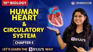Human Heart and circulatory system| Life processes| Class 10 | Chapter 5 | SHIKAR 2024 |