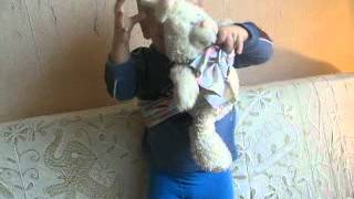 Самый юный слингоконсультант видео Самый простой слинг в освоении. Простые намотки слинга.