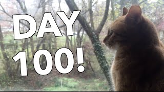 DAILY VLOG 100! @kyletaggart